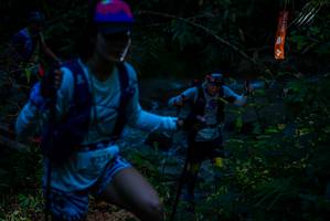 BIB: 
                            <button type="button" onclick="openModal(19309469)" class="btn btn-primary btn-sm float-right btn-popup" data-toggle="modal" data-target=".modal-high-quality">
                        <i class="fas fa-shopping-cart"></i> Add to Cart
                    </button>
                                            <button type="button" onclick="isThisMe(19309469, true)" class="btn btn-success btn-sm float-right btn-popup btn-isme hidden" data-toggle="tooltip" data-placement="bottom" title="นี่คือรูปของคุณใช่ไหม คลิกที่นี่เพื่อเอาเข้าอัลบั้ม">
                        <i class="fas fa-plus"></i> Add to album
                    </button>
                    <button type="button" onclick="isThisMe(19309469, false)" class="btn btn-warning btn-sm float-right btn-popup btn-isnotme hidden">
                        <i class="fas fa-ban"></i> Remove from album
                    </button>